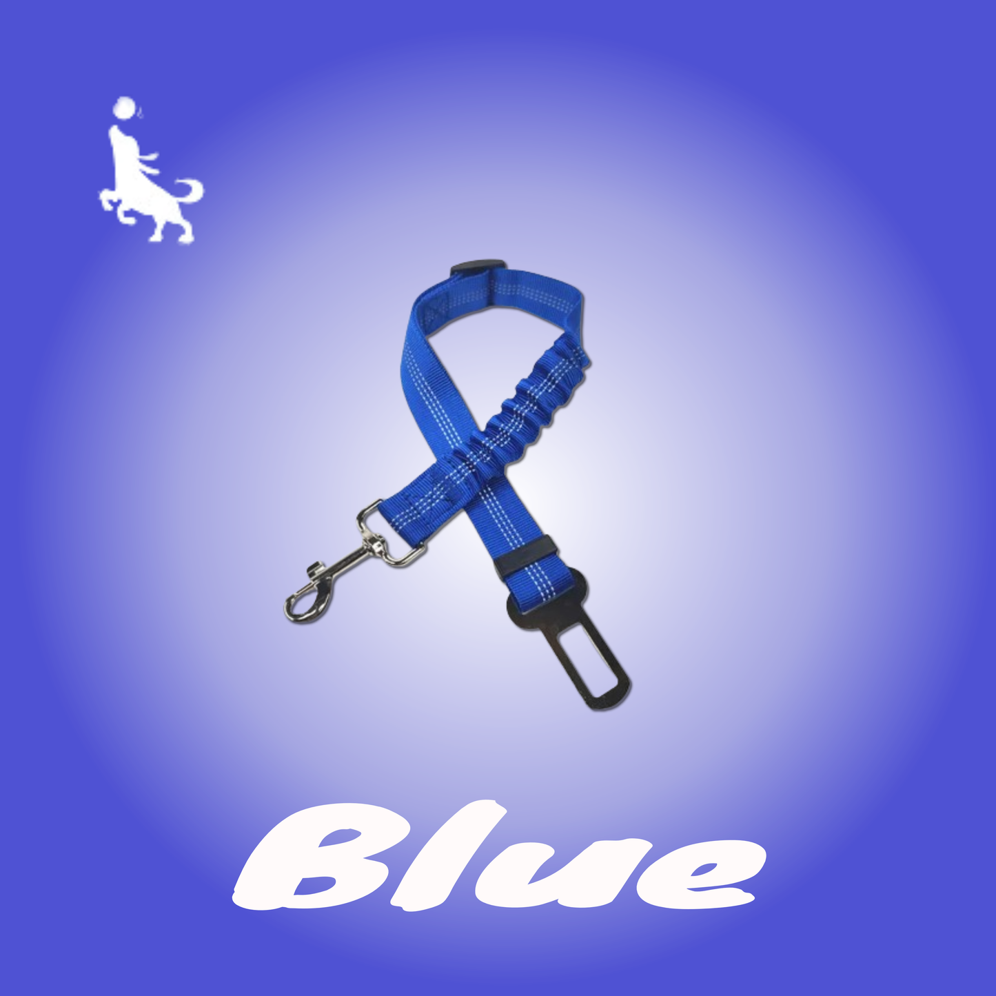 Pro Pas Bezpieczeństwa