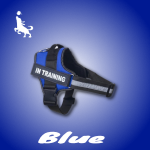 Pro Spersonalizowane Szelki