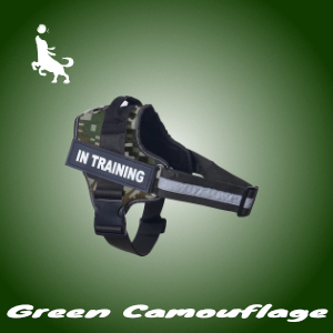 Pro Spersonalizowane Szelki