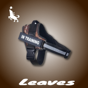 Pro Spersonalizowane Szelki