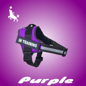 Pro Spersonalizowane Szelki