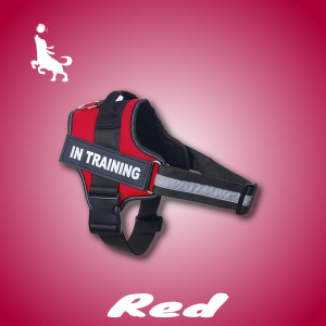 Pro Spersonalizowane Szelki