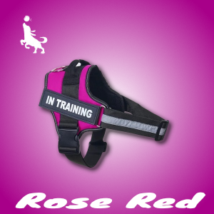 Pro Spersonalizowane Szelki