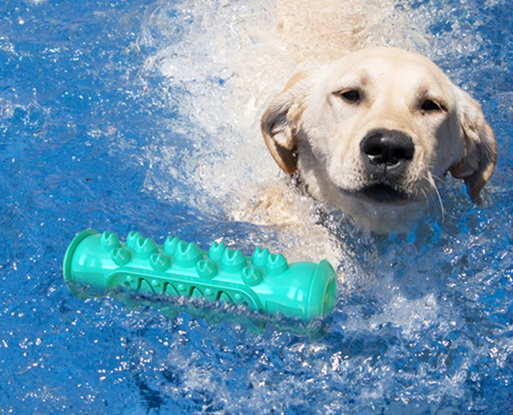 Pro Gryzak-Szczoteczka