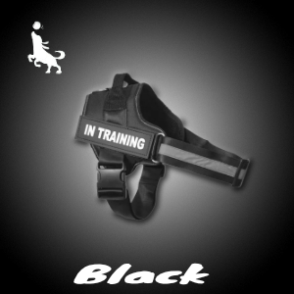 Pro Spersonalizowane Szelki