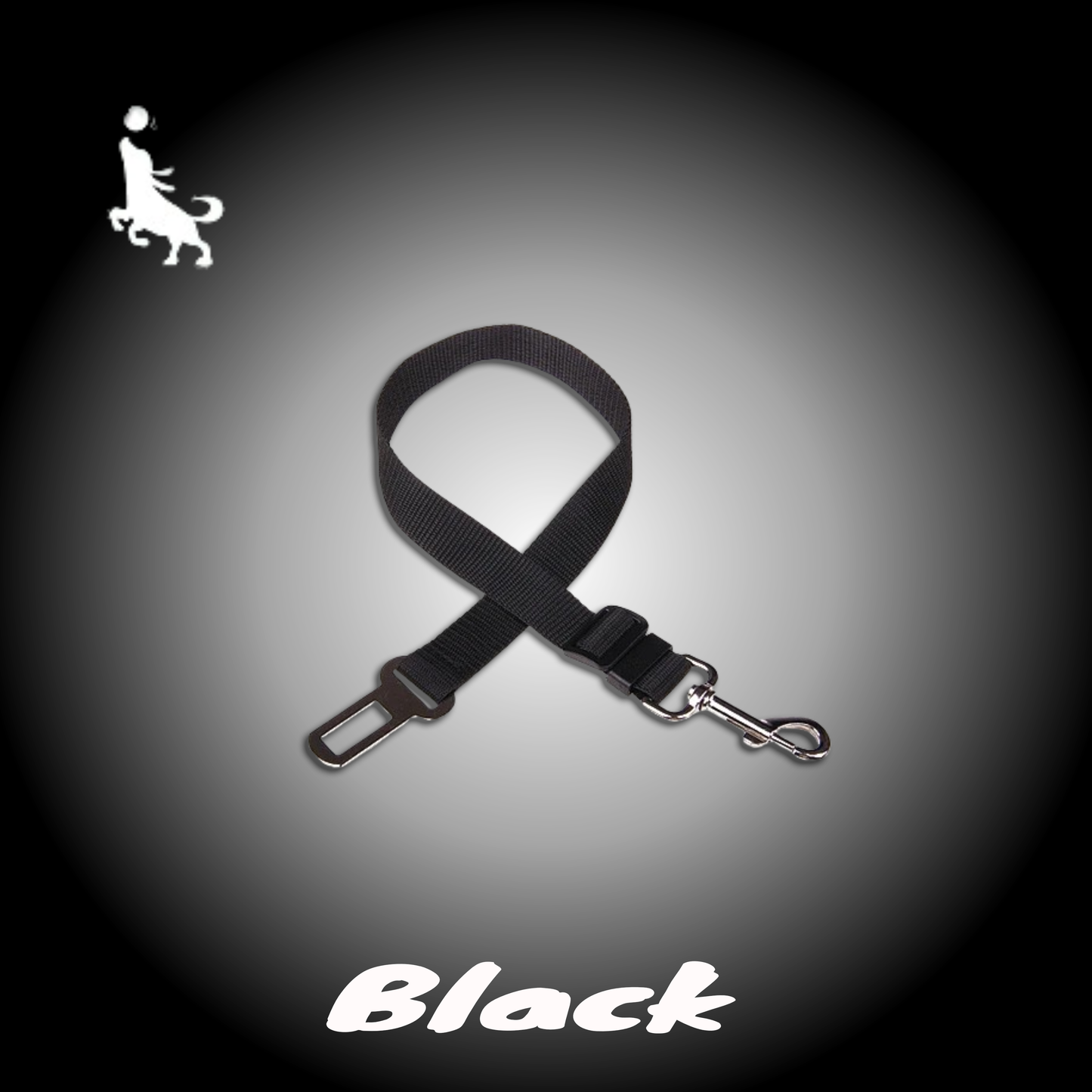 Pro Pas Bezpieczeństwa