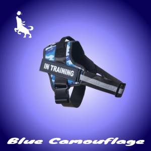 Pro Spersonalizowane Szelki