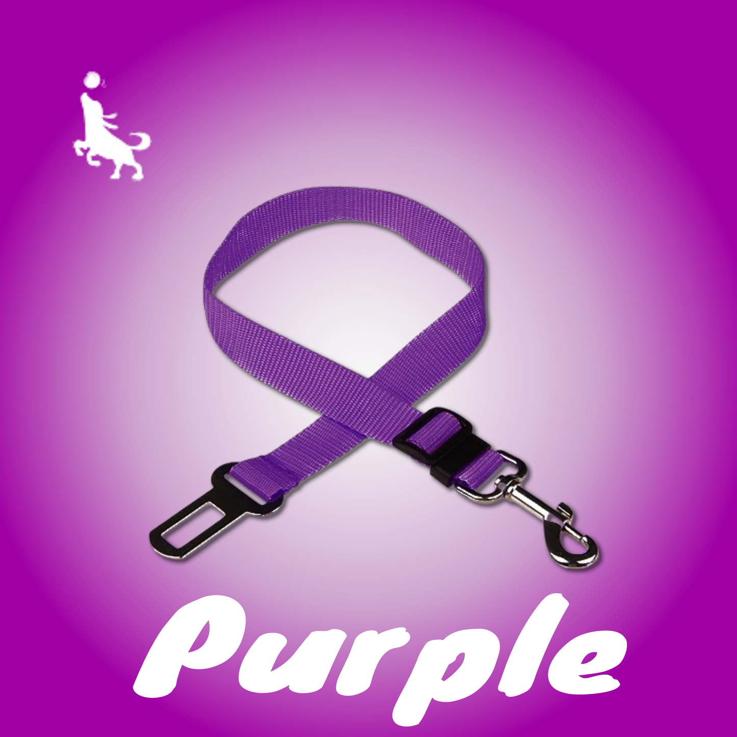 Pro Pas Bezpieczeństwa