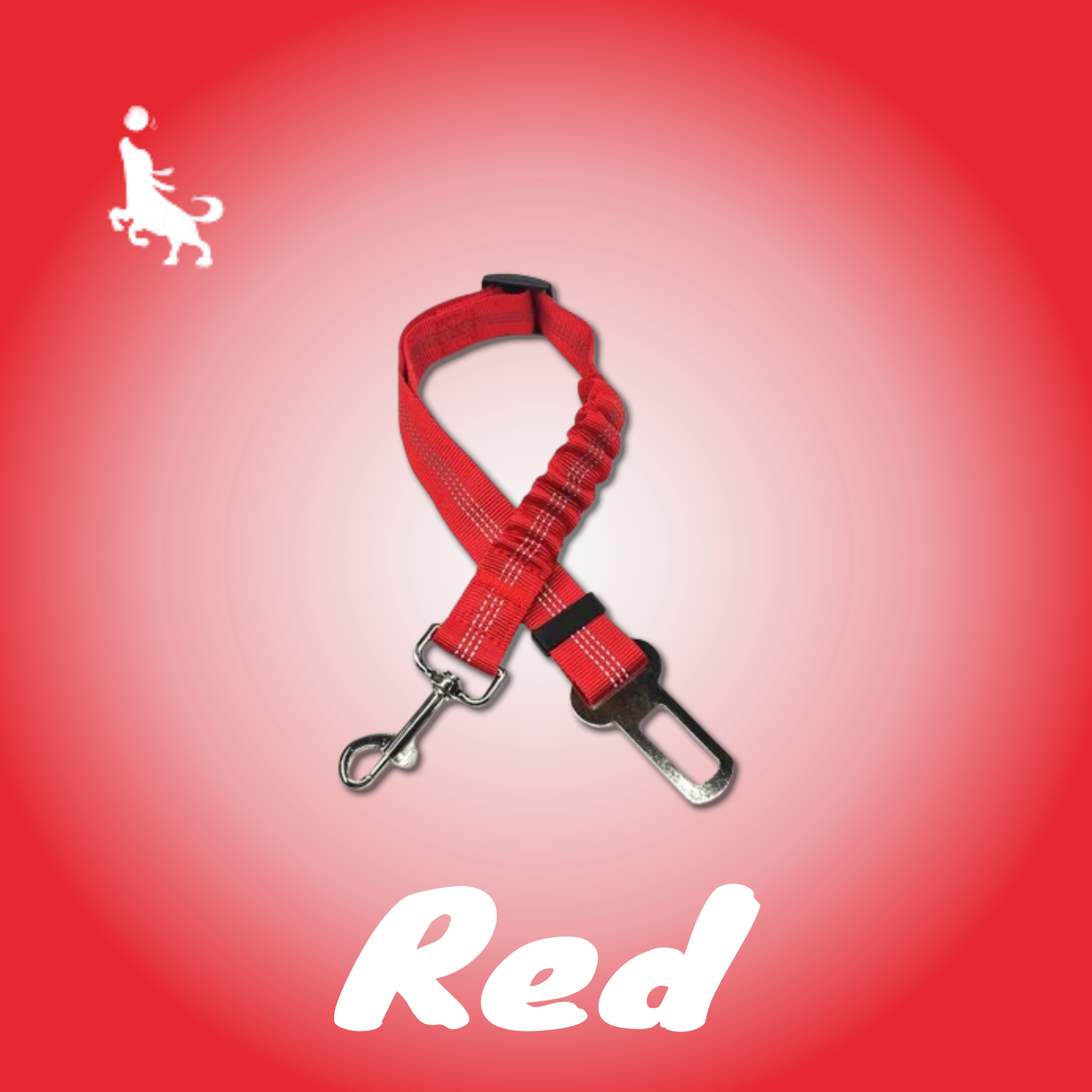 Pro Pas Bezpieczeństwa