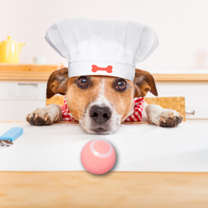 Pro Inteligentna Piłka