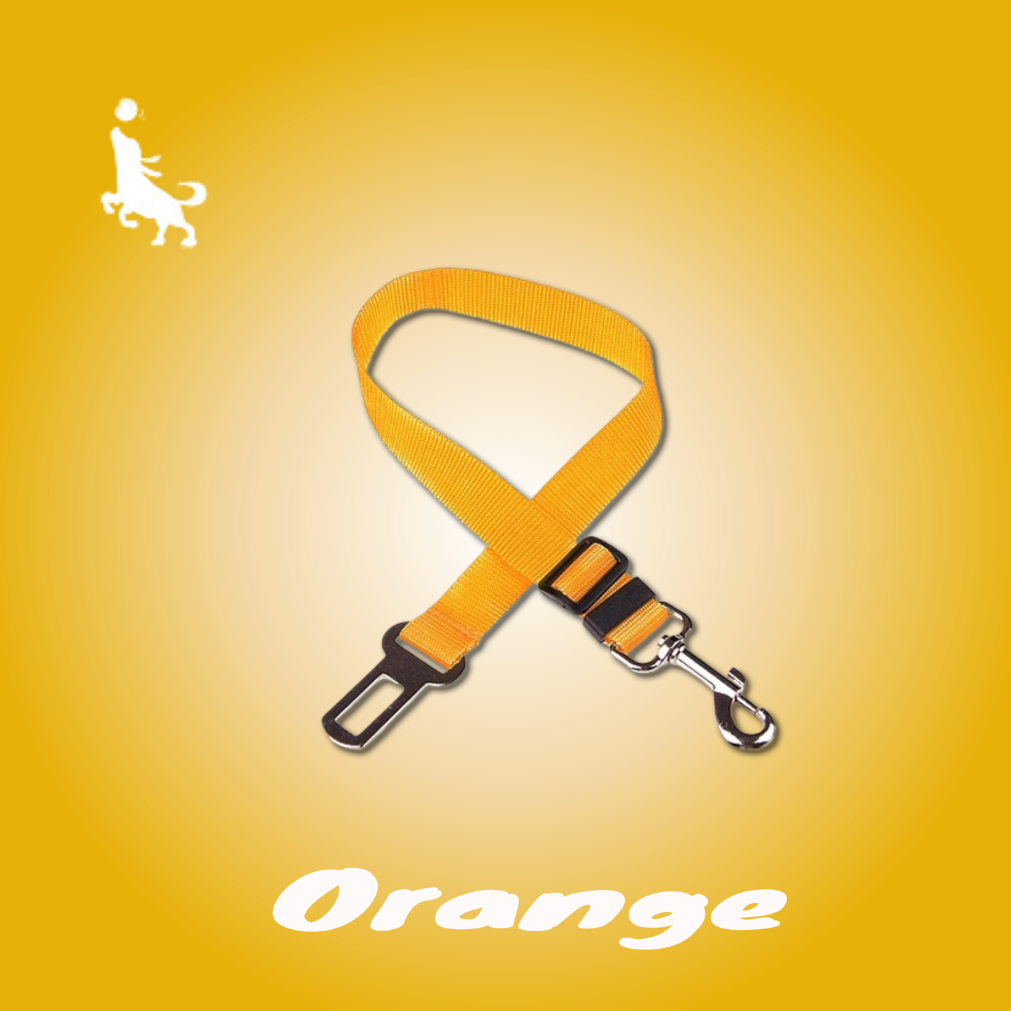 Pro Pas Bezpieczeństwa