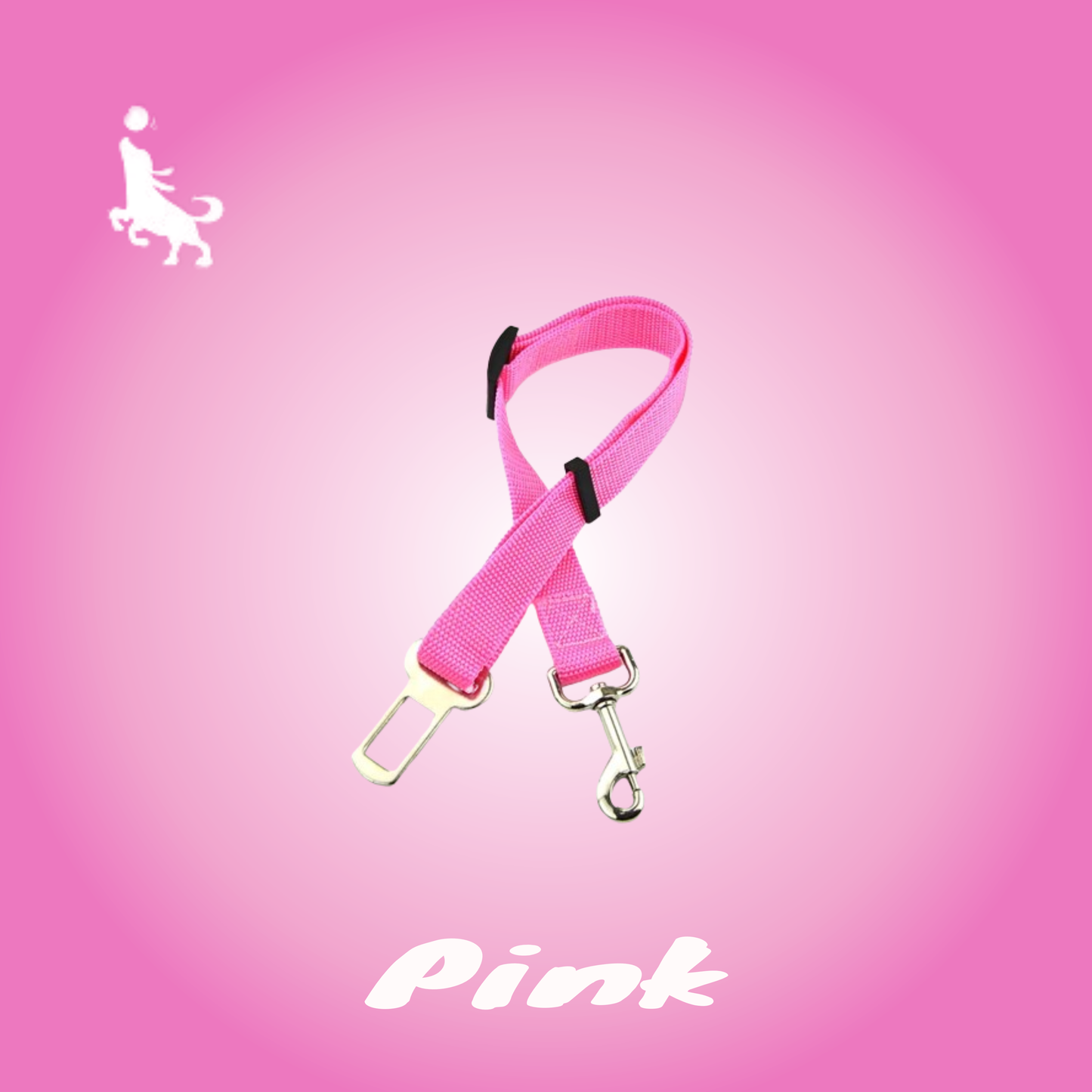 Pro Pas Bezpieczeństwa